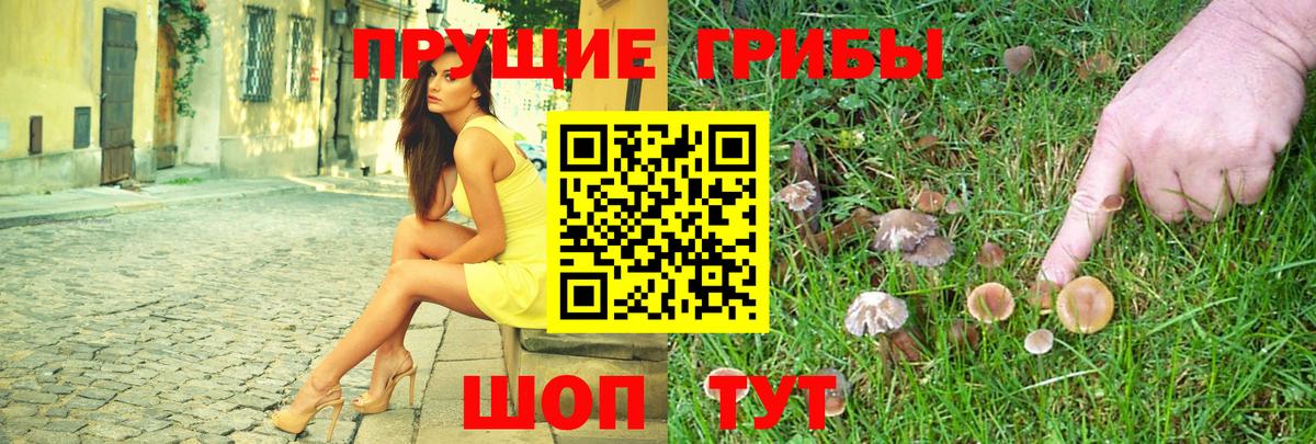 Галлюциногенные грибы GOLDEN TEACHER Юрга